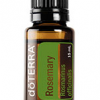 ROSEMARY רוזמרין