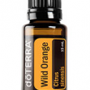 WILD ORANGE תפוז פראי